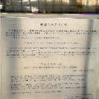 Árbol sobreviviente